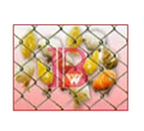 Chain Link Type Conveyor Belt